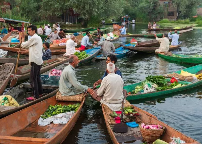 Chợ rau nổi Srinagar